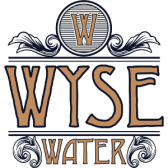 Logo DrinkWyse