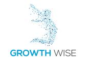 Logo Growth Wise