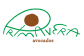 Logo Primavera Avocados