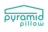 Logo Pyramid Pillow